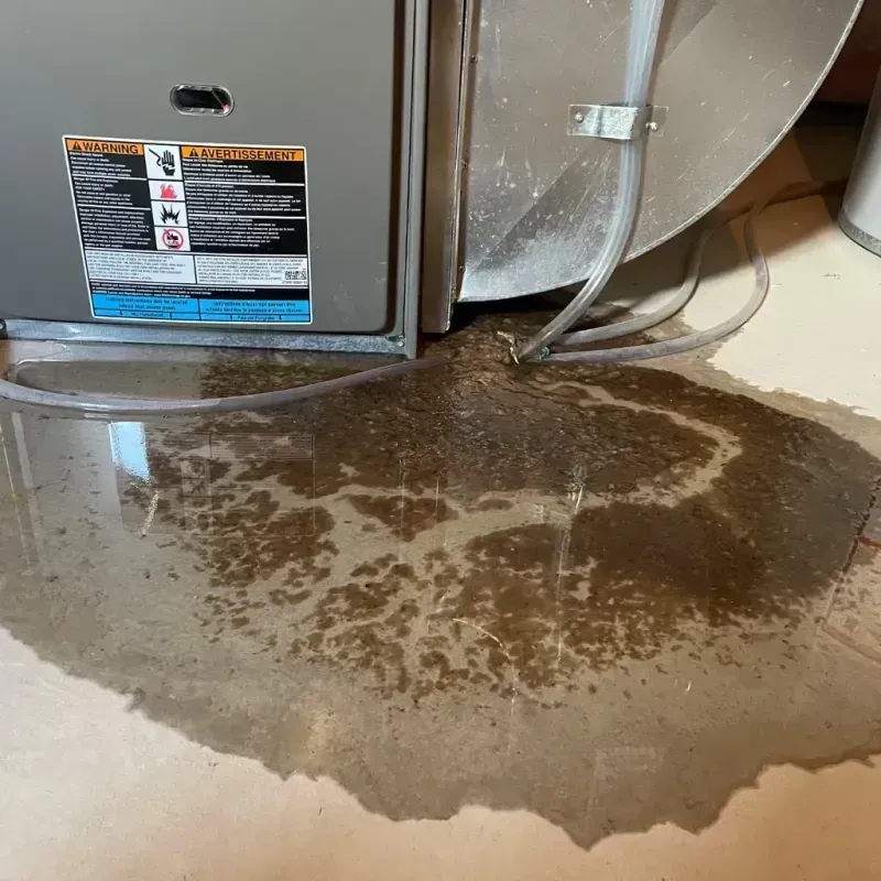 Appliance Leak Cleanup in Beaverdale, PA